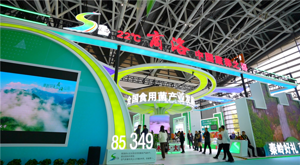 丝绸之路国际博览会.png